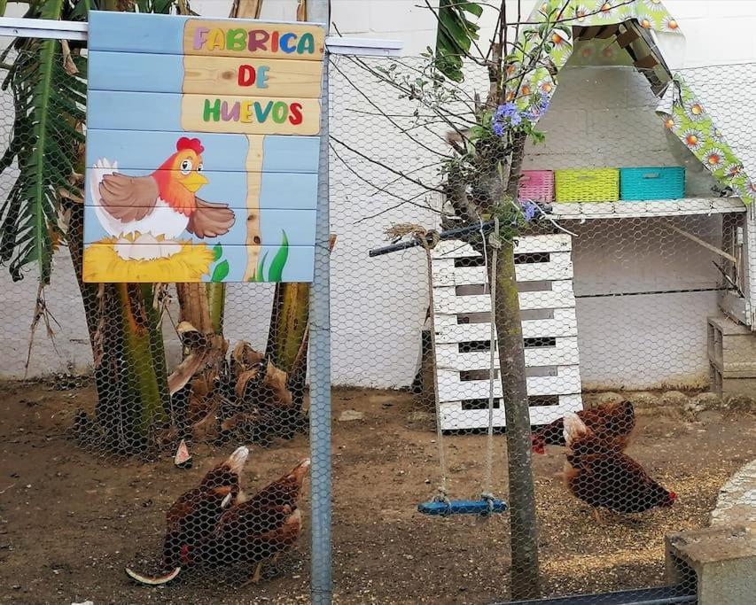 Villa Chiclana El Principito Chiclana de la Frontera Esterno foto